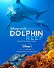 Dolphin Reef (2020)* - Whats After The Credits? | The Definitive After ...