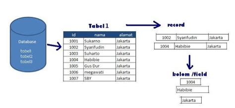 Formally, a database refers to a set of related data and the way it is organized. Struktur Database / Manajemen Perubahan Struktur Database Menggunakan Liquibase Coding4ever S ...