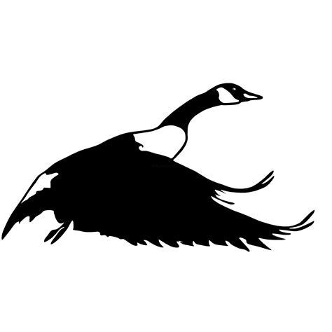 Goose clipart goose hunting, Goose goose hunting Transparent FREE for download on WebStockReview 
