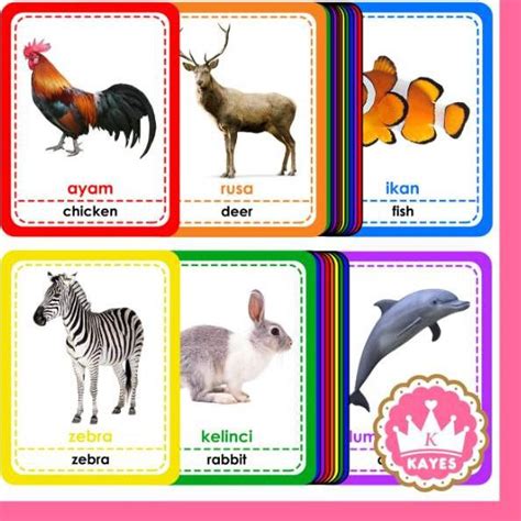 Jual Update Penampilan Flashcard Hewan Binatang Kartu Bayi Pintar