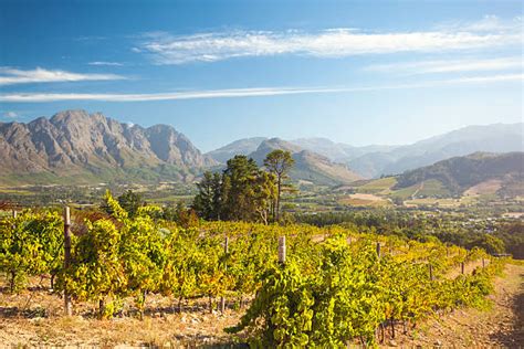Best Franschhoek Stock Photos Pictures And Royalty Free Images Istock