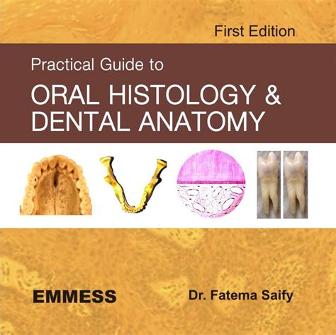 Practical Guide To Oral Histology And Dental Anatomy Buy Practical Guide