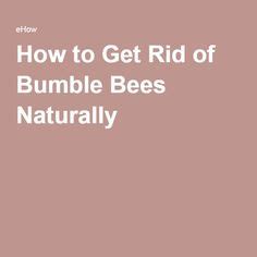 While ground bees are not honey bees, they are pollination bees, which makes them a beneficial insect. Pinterest • The world's catalog of ideas