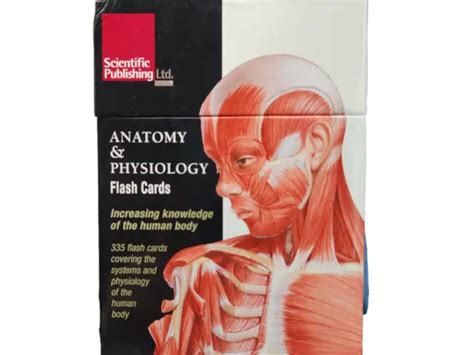 Anatomy And Physiology Flash Cards By Scientific Scientific Publishing