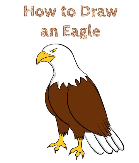 How To Draw An Eagle Easy How To Draw Easy