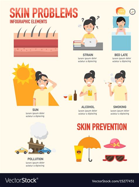 Skin Problemskin Cancer Prevention Infographic Vector Image