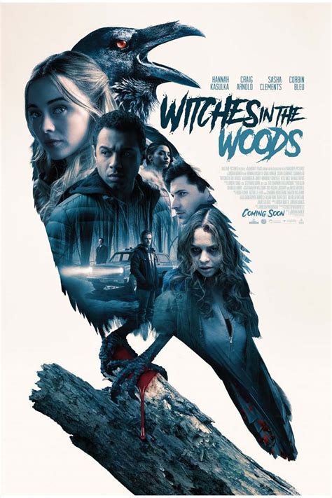 We've spanned a number of after it first released in 2017, this american horror film has quickly become one of the most popular films in the genre. Witches in the Woods DVD Release Date June 2, 2020