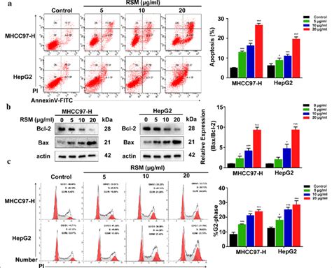 rsm induces apoptosis and cell cycle g2 m arrest in mhcc97 h and hepg2 download scientific