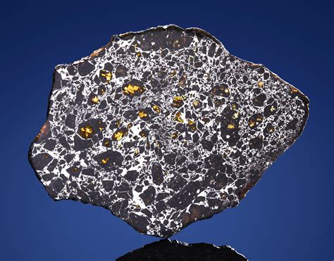 Complete Slice Of Admire Pallasite Pallasite — Pmglyon County Kansas