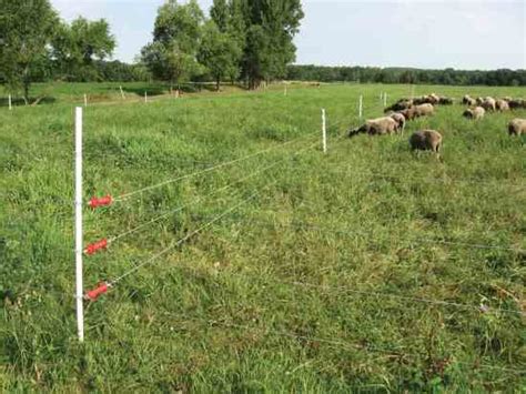 The principle is quite simple. Electric Fencing Basics