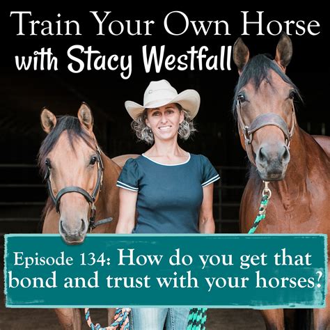 Episode 134 How Do You Get That Bond And Trust With Your Horses