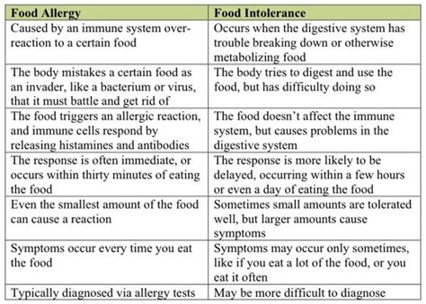 Sunnys Gluten Free Bakery Allergy Vs Food Intolerence Symptoms