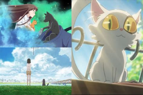 12 Best Anime For Cat Lovers In 2023 Beebom