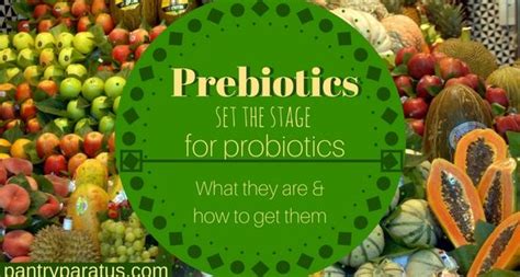 Not all fermented foods contain probiotics. Prebiotics Set the Stage for Probiotics: What they are and ...
