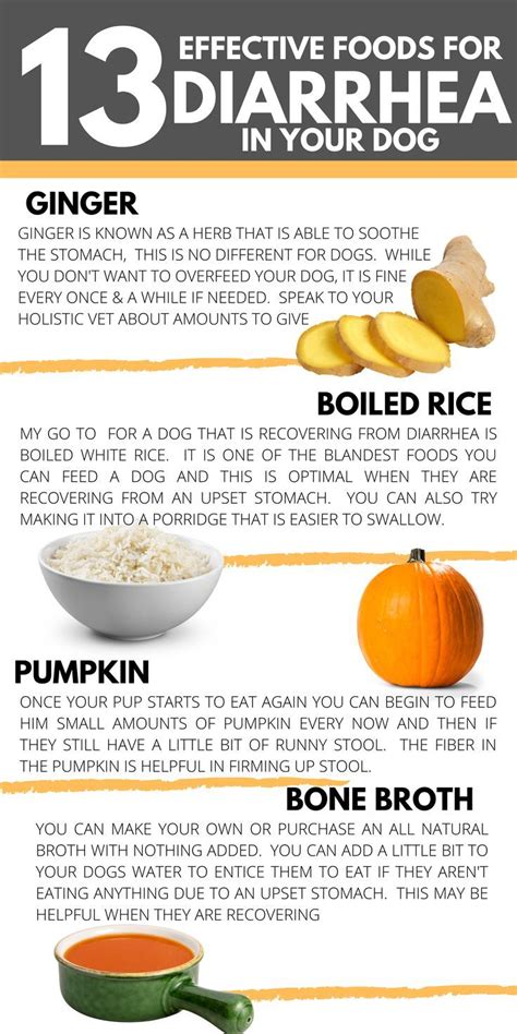 How Much Pumpkin Do You Give A Puppy For Diarrhea