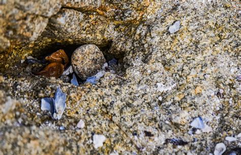 Beach Rock Wedged Free Stock Photo Public Domain Pictures