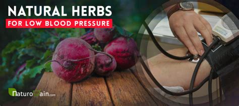 8 Powerful Herbs For Low Blood Pressure Control Hypotension Naturally