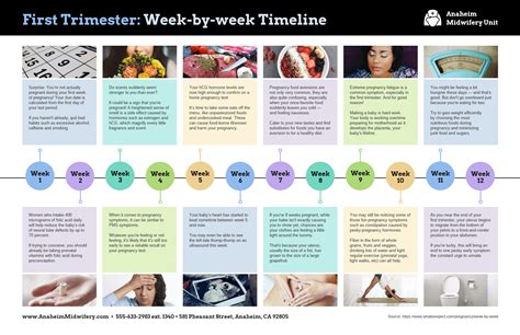 Trimester Pregnancy Healthcare Timeline Venngage