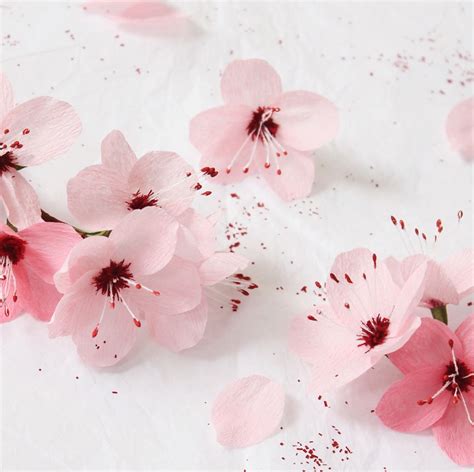 Paper Cherry Blossoms By A Petal Unfolds Paper Flowers Paper Flowers