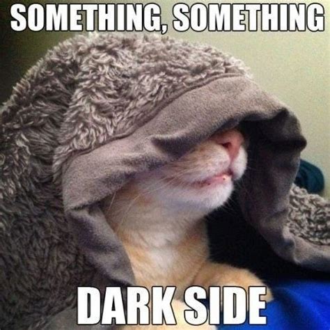 Irti Funny Picture 4362 Tags Cat Star Wars Something Something