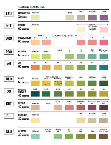 Home Urinalysis Test Strip Color Chart And Explanations Artofit