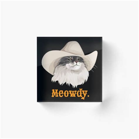 Cat Cowboy Hat Meme Instagram Page Adds Cowboy Hats To Cat Photos And