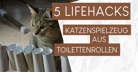 katzenspielzeug aus klopapierrollen basteln coco und nanju