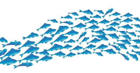 School Of Fish Clip Art Vector Images And Illustrations Istock