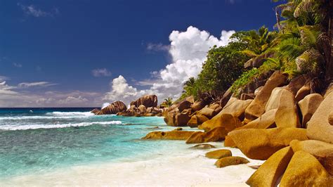 X Cliffs Palm Trees Beach Water Seychelles Sea Ocean Islands Coolwallpapers Me