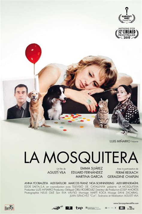 Box Office Du Film La Mosquitera Allociné