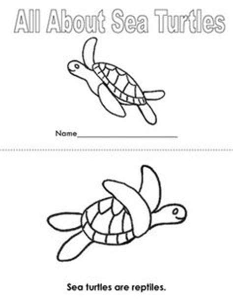 Label The Sea Turtle Worksheet