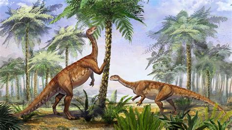 What Do Dinosaurs Eat Facts About Dinosaur Diet