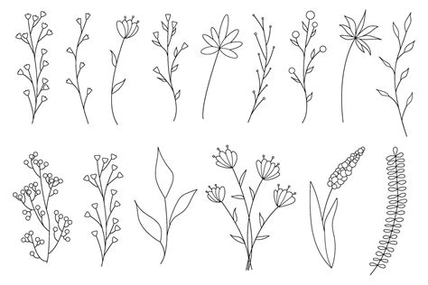Collection Of Minimalistic Simple Floral Elements Graphic Sketch