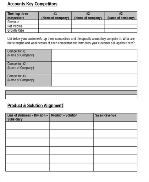 Sales Account Plan Template Free Download