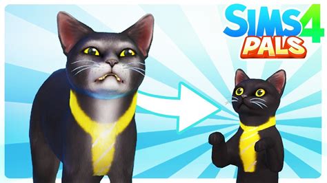 Sir Meows A Lot Is A Kitten Sims 4 Pals Youtube