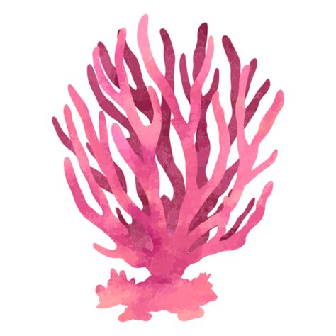 Coral Png Png Mart