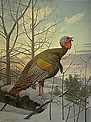 Wild Turkey by Louis Agassiz Fuertes | Turkey painting, Painting, Art ...