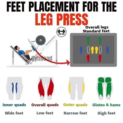 Leg Press Machine Weight Chart Racheal Edmonds
