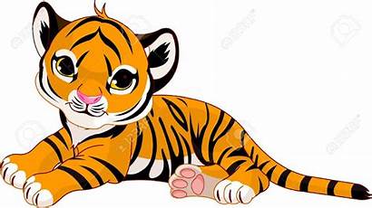 Tiger Cub Clipart Clipground Resting