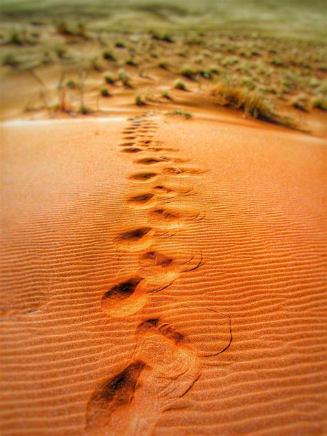 Foot Prints On Desert During Daytime · Free Stock Photo