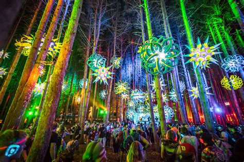 Getting Ready For Electric Forest 2019 Festival Survival Guide