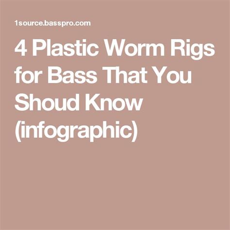 Plastic Worm Rigs For Bass That You Should Know Infographic Bass