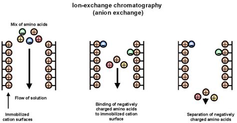 14 Types Of Chromatography Definition Principle Steps Uses