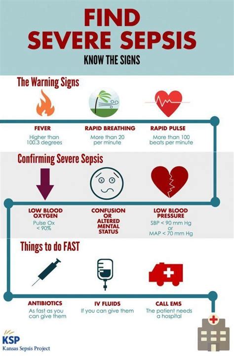A Health Infographic Explaining The Signs Of Sepsis