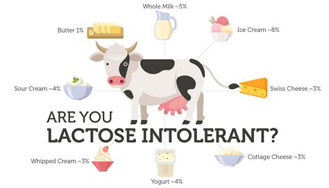 Are You Lactose Intolerant Andrea S Digestive Clinic Singapore