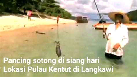Tangkap Sotong Siang Hari Guna Pancing Je Lokasi Pulau Kentut Besar