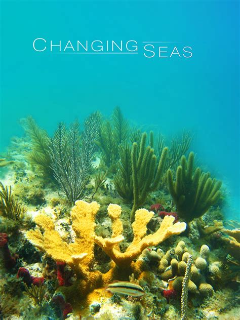 Changing Seas Rotten Tomatoes