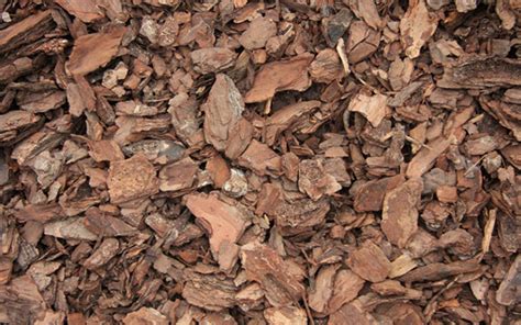 Pine Bark Landscape Mulch For Sale Naples