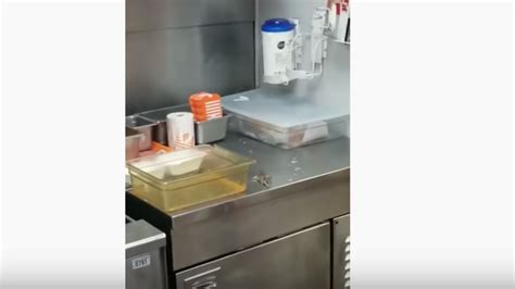 Viral Video Shows Rat Jump Into Texas Whataburger Deep Fryer