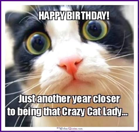 Birthday Meme With A Cat Another Year Closer To Being That Crazy Cat